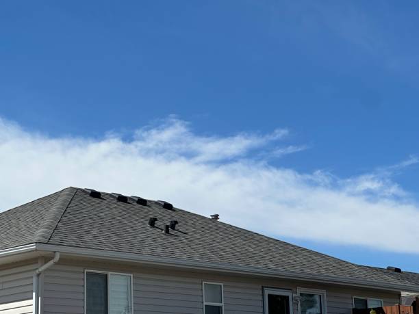 Best Chimney Flashing Repair  in Newburgh, IN